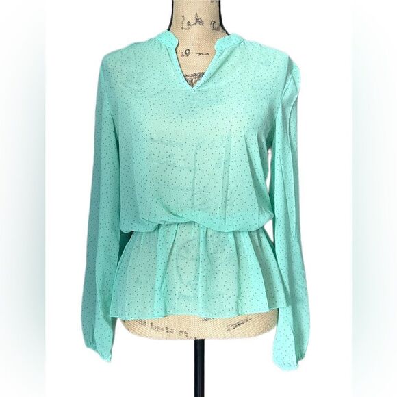 Francesca’s Collection Mint Green Polka Dot Sheer Top, Long Sleeves, Size Small - Picture 1 of 8